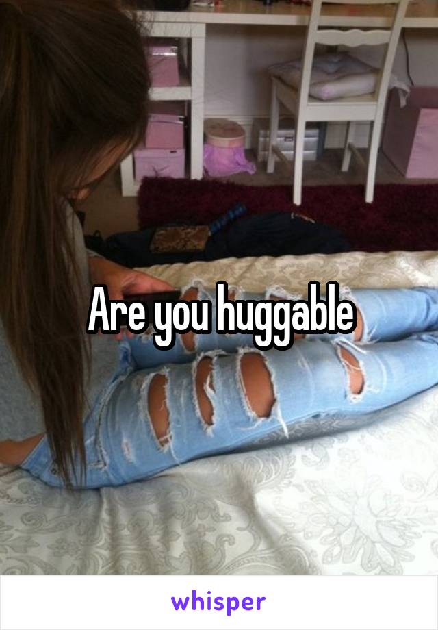 Are you huggable