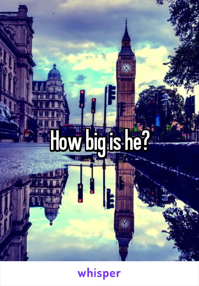 How big is he?