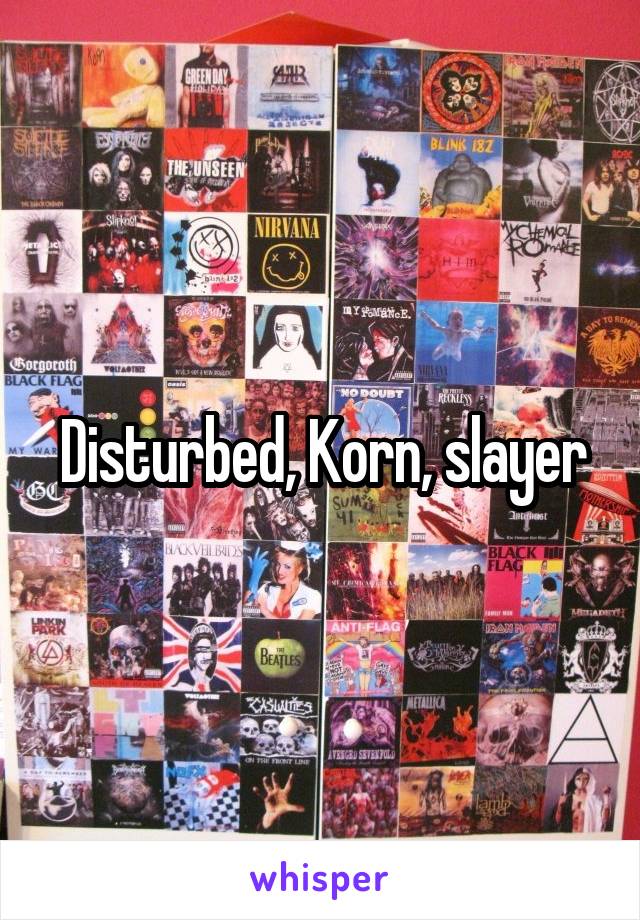 Disturbed, Korn, slayer