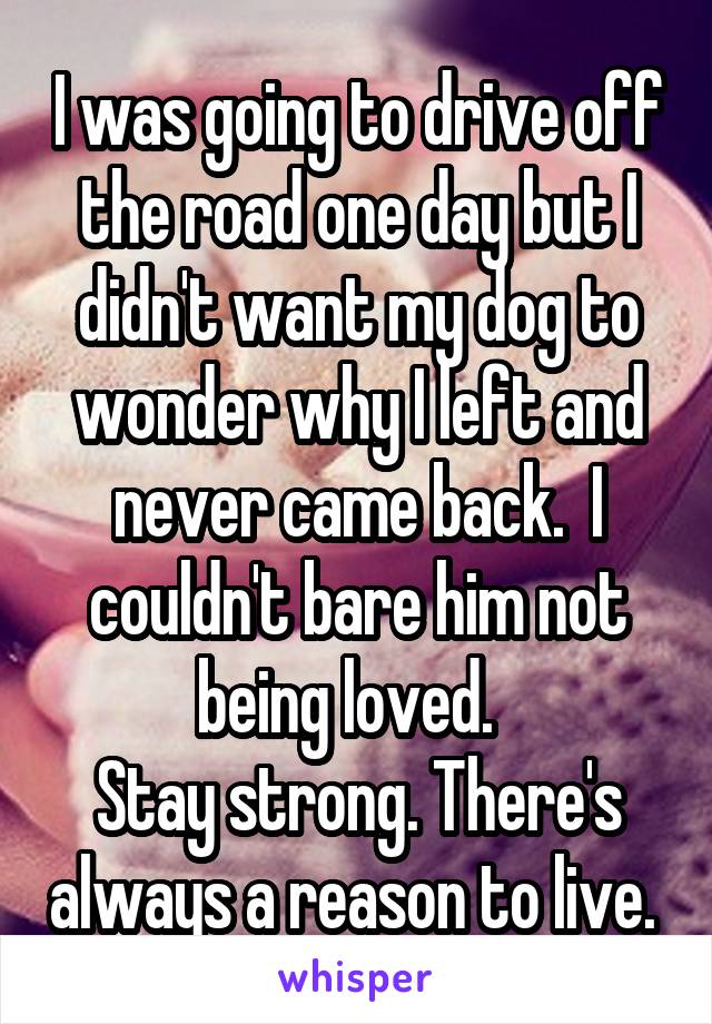 I was going to drive off the road one day but I didn't want my dog to wonder why I left and never came back.  I couldn't bare him not being loved.  
Stay strong. There's always a reason to live. 