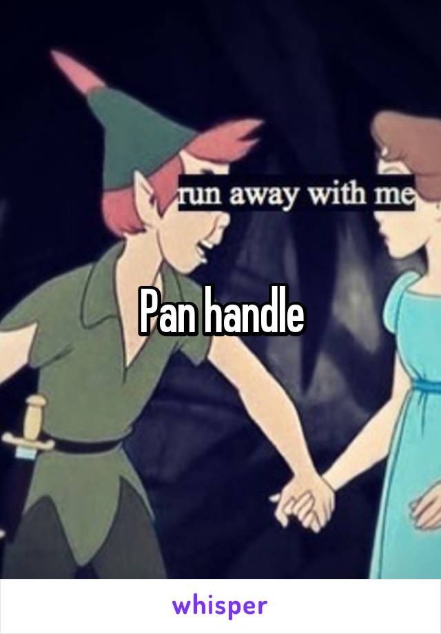 Pan handle