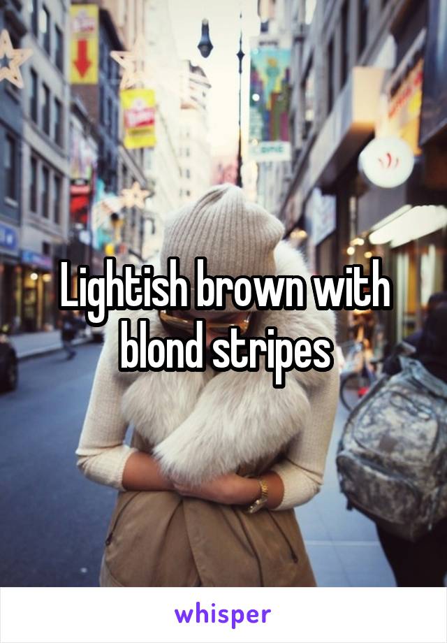 Lightish brown with blond stripes