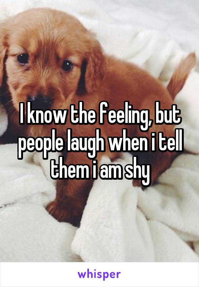I know the feeling, but people laugh when i tell them i am shy