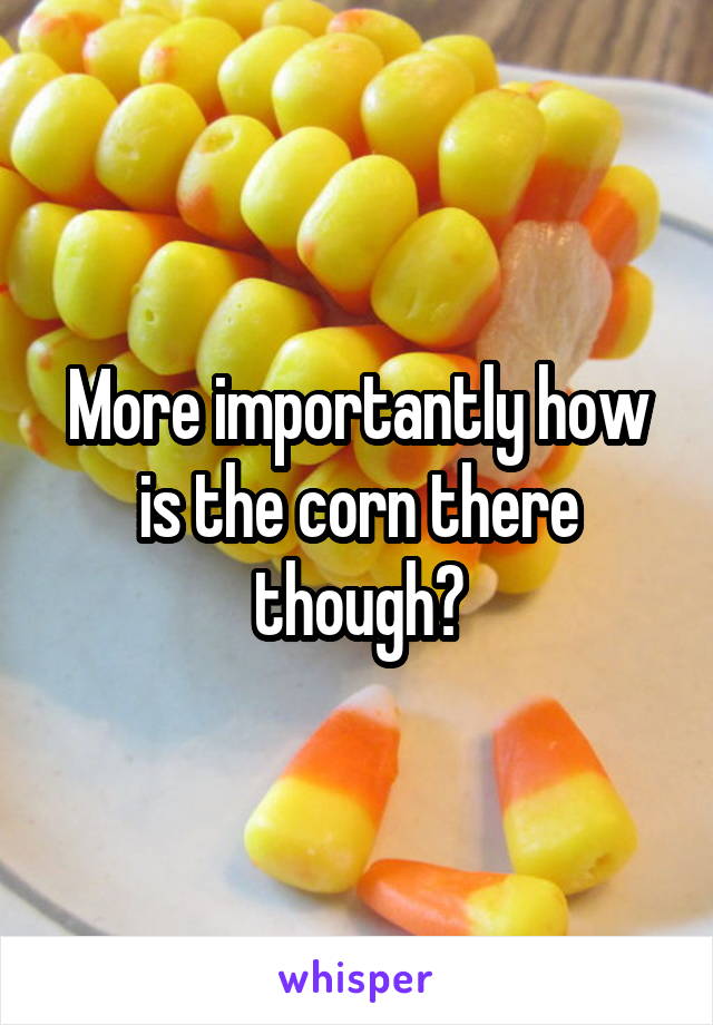 More importantly how is the corn there though?