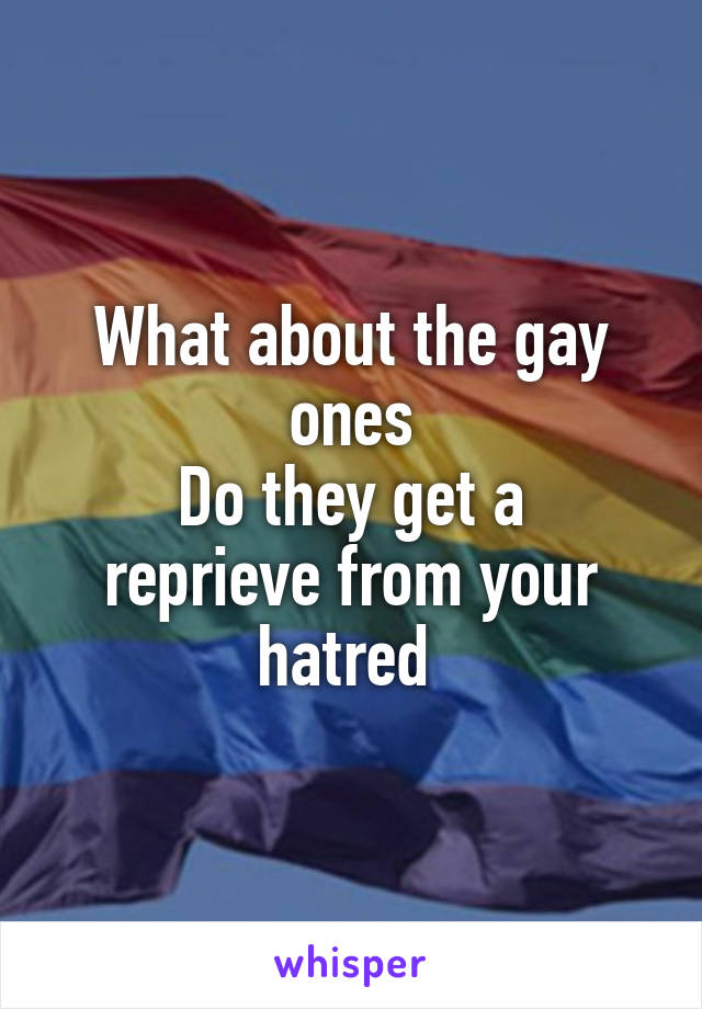 What about the gay ones
Do they get a reprieve from your hatred 