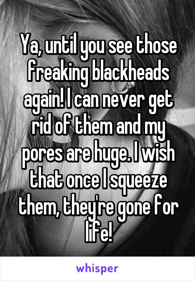 Ya, until you see those freaking blackheads again! I can never get rid of them and my pores are huge. I wish that once I squeeze them, they're gone for life!