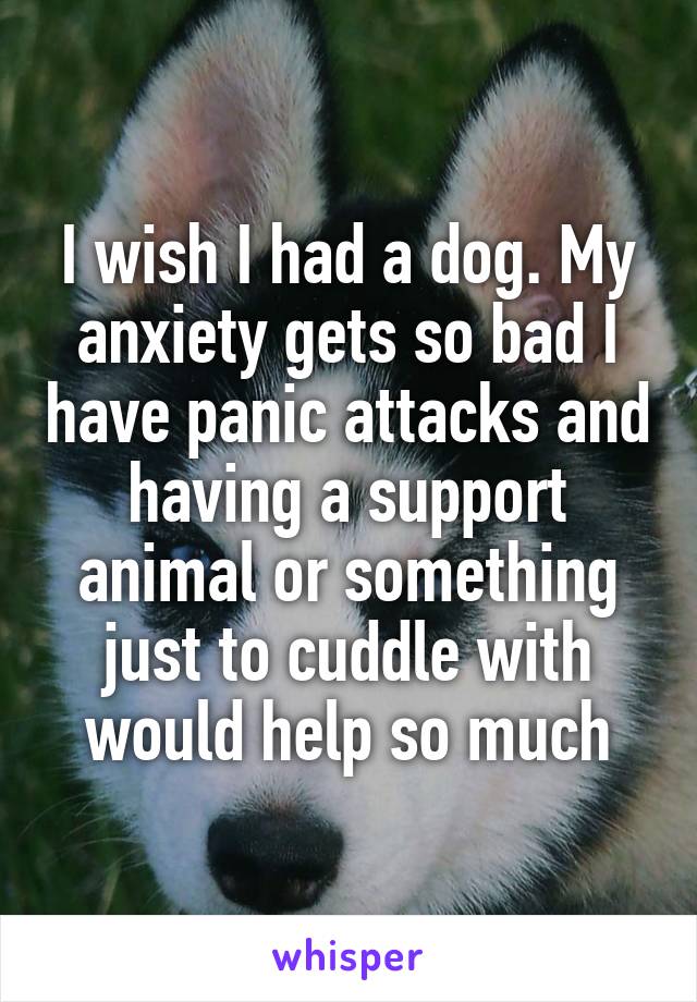 I wish I had a dog. My anxiety gets so bad I have panic attacks and having a support animal or something just to cuddle with would help so much