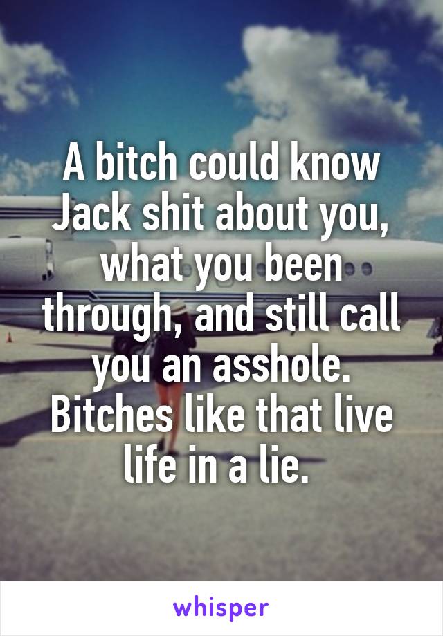 A bitch could know Jack shit about you, what you been through, and still call you an asshole. Bitches like that live life in a lie. 