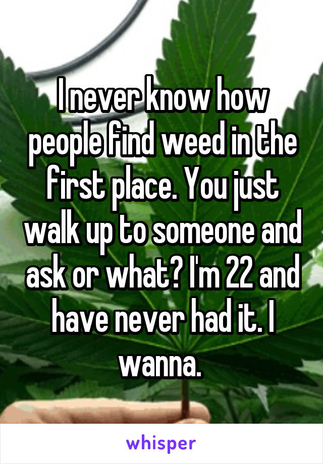 I never know how people find weed in the first place. You just walk up to someone and ask or what? I'm 22 and have never had it. I wanna. 