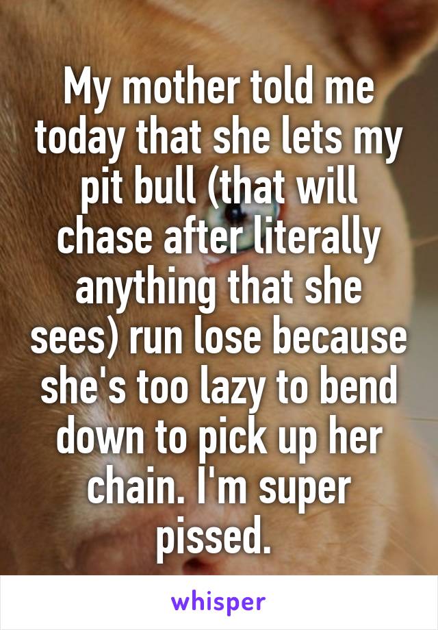My mother told me today that she lets my pit bull (that will chase after literally anything that she sees) run lose because she's too lazy to bend down to pick up her chain. I'm super pissed. 
