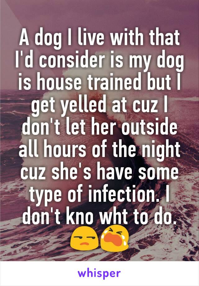 A dog I live with that I'd consider is my dog is house trained but I get yelled at cuz I don't let her outside all hours of the night cuz she's have some type of infection. I don't kno wht to do. 😒😭