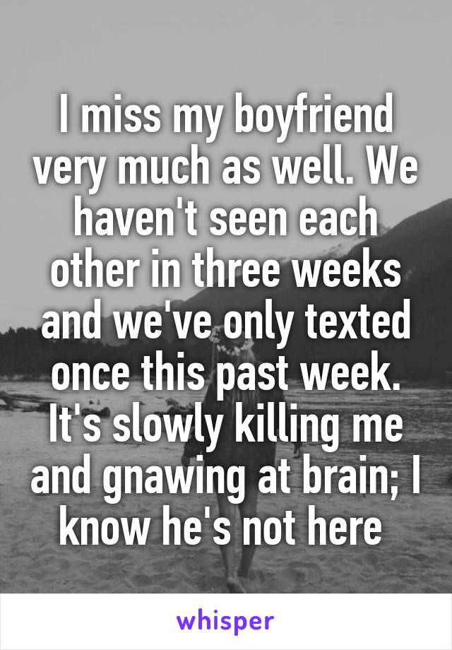 I miss my boyfriend very much as well. We haven't seen each other in three weeks and we've only texted once this past week. It's slowly killing me and gnawing at brain; I know he's not here 