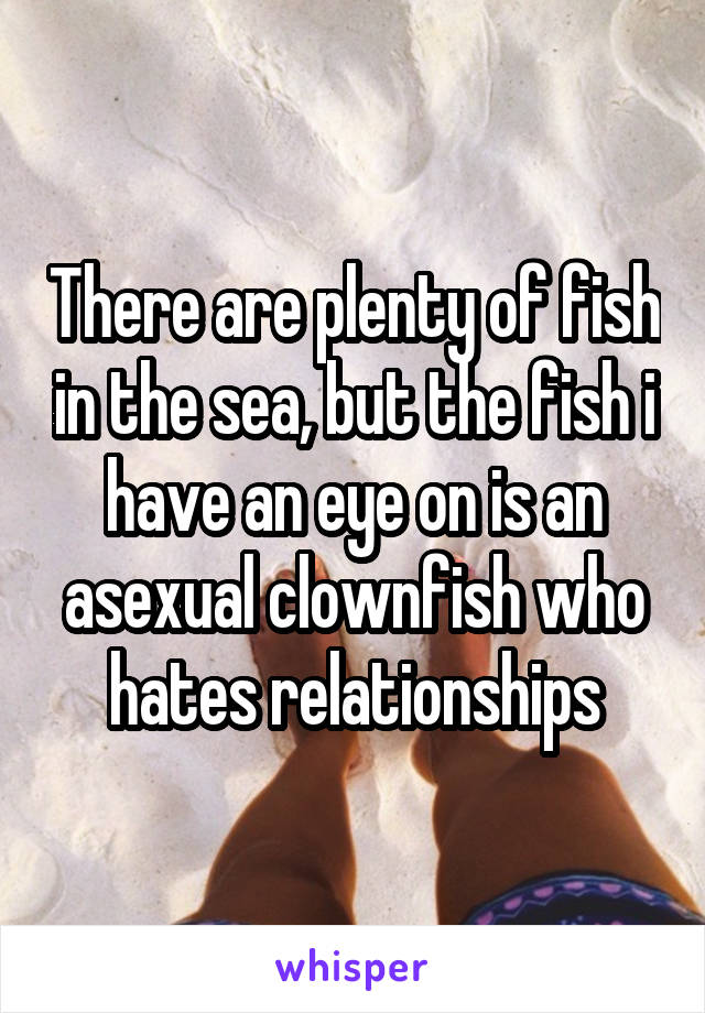 There are plenty of fish in the sea, but the fish i have an eye on is an asexual clownfish who hates relationships