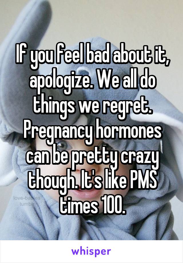 If you feel bad about it, apologize. We all do things we regret. Pregnancy hormones can be pretty crazy though. It's like PMS times 100.