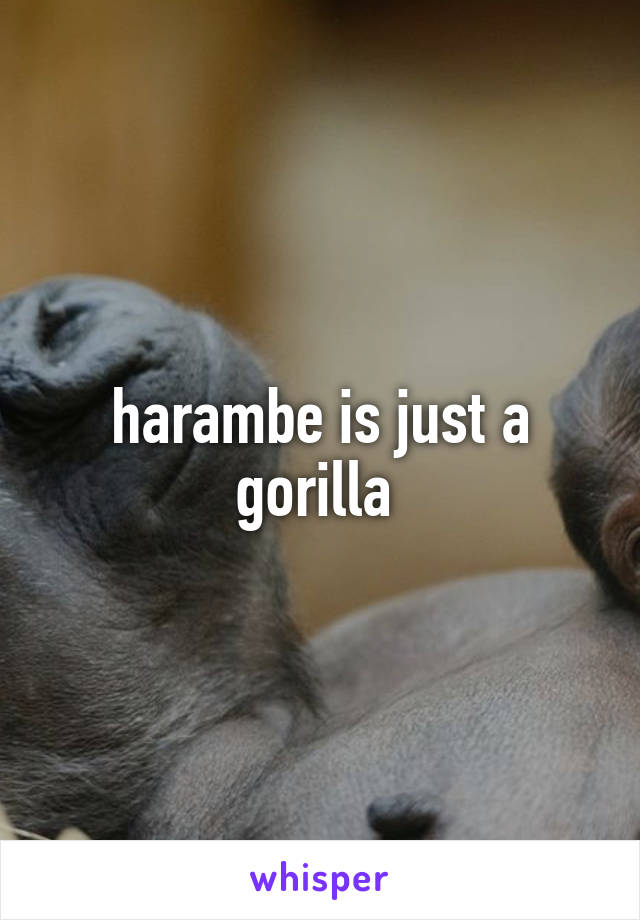 harambe is just a gorilla 