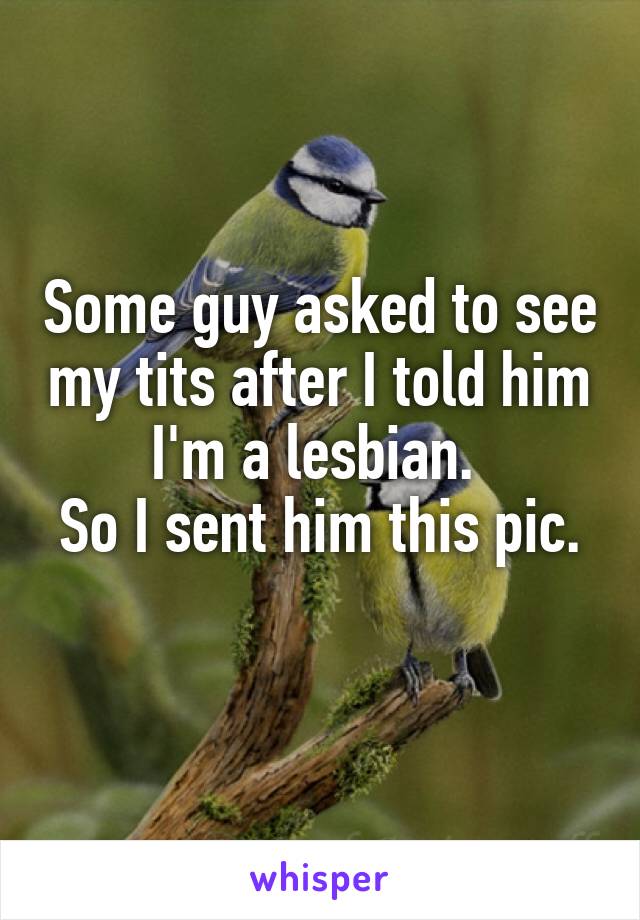 Some guy asked to see my tits after I told him I'm a lesbian. 
So I sent him this pic. 