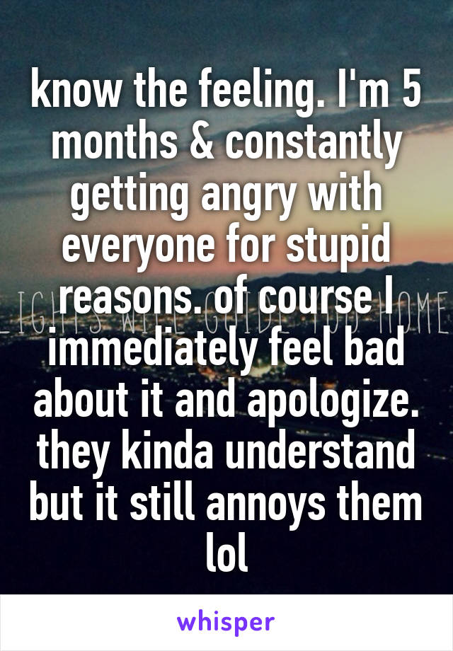 know the feeling. I'm 5 months & constantly getting angry with everyone for stupid reasons. of course I immediately feel bad about it and apologize. they kinda understand but it still annoys them lol