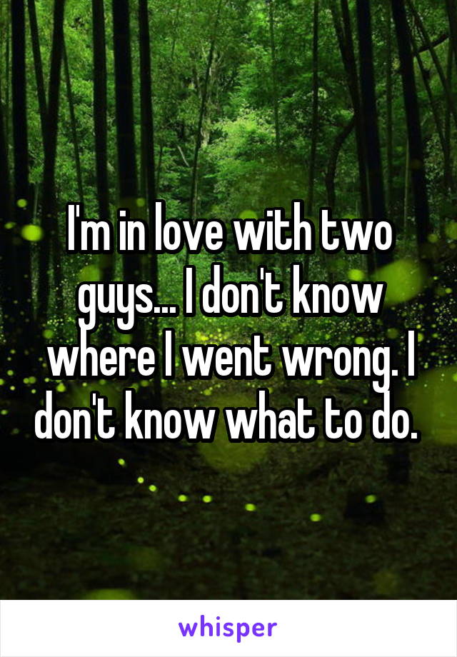 I'm in love with two guys... I don't know where I went wrong. I don't know what to do. 