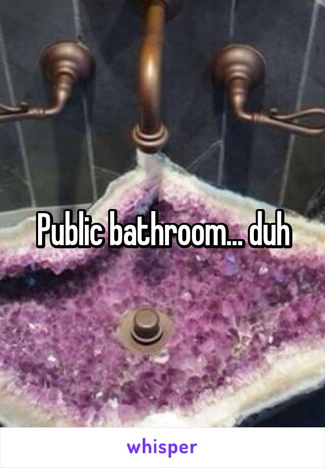 Public bathroom... duh
