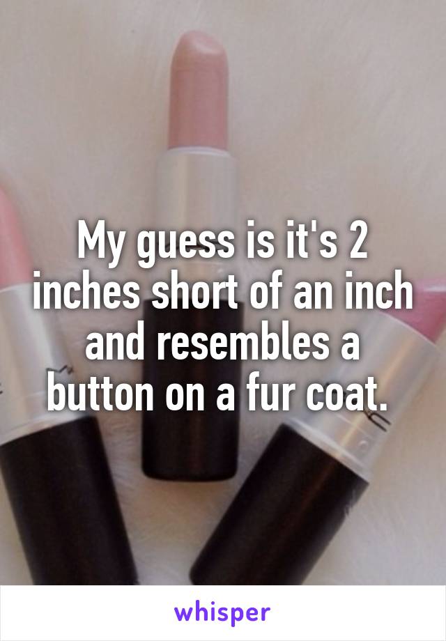 My guess is it's 2 inches short of an inch and resembles a button on a fur coat. 