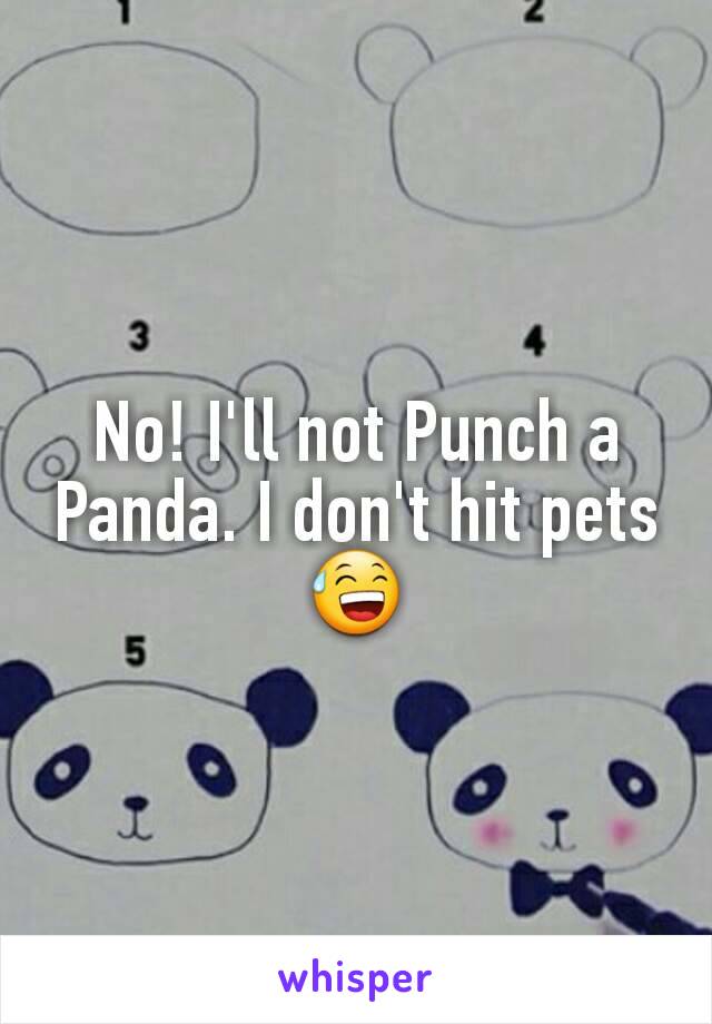 No! I'll not Punch a Panda. I don't hit pets 😅