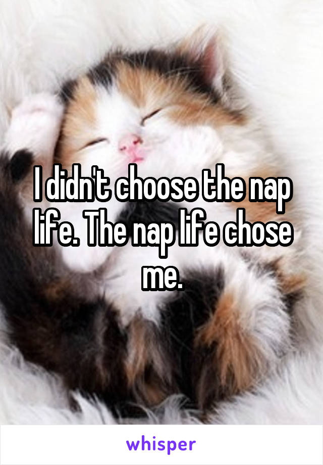 I didn't choose the nap life. The nap life chose me.