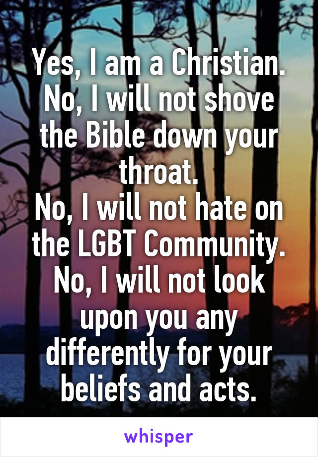 Yes, I am a Christian.
No, I will not shove the Bible down your throat.
No, I will not hate on the LGBT Community.
No, I will not look upon you any differently for your beliefs and acts.