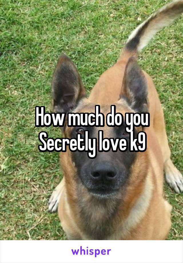 How much do you Secretly love k9