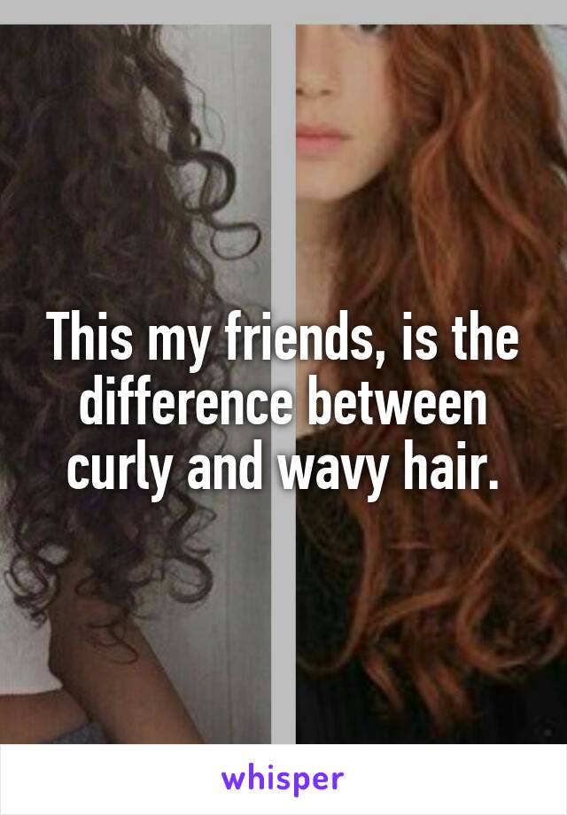 This my friends, is the difference between curly and wavy hair.