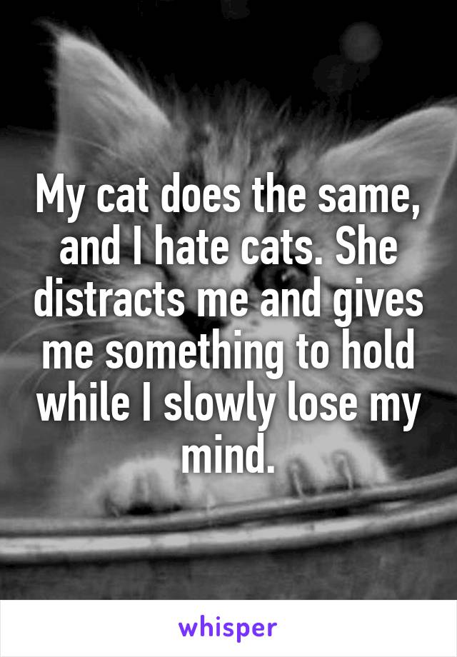 My cat does the same, and I hate cats. She distracts me and gives me something to hold while I slowly lose my mind.