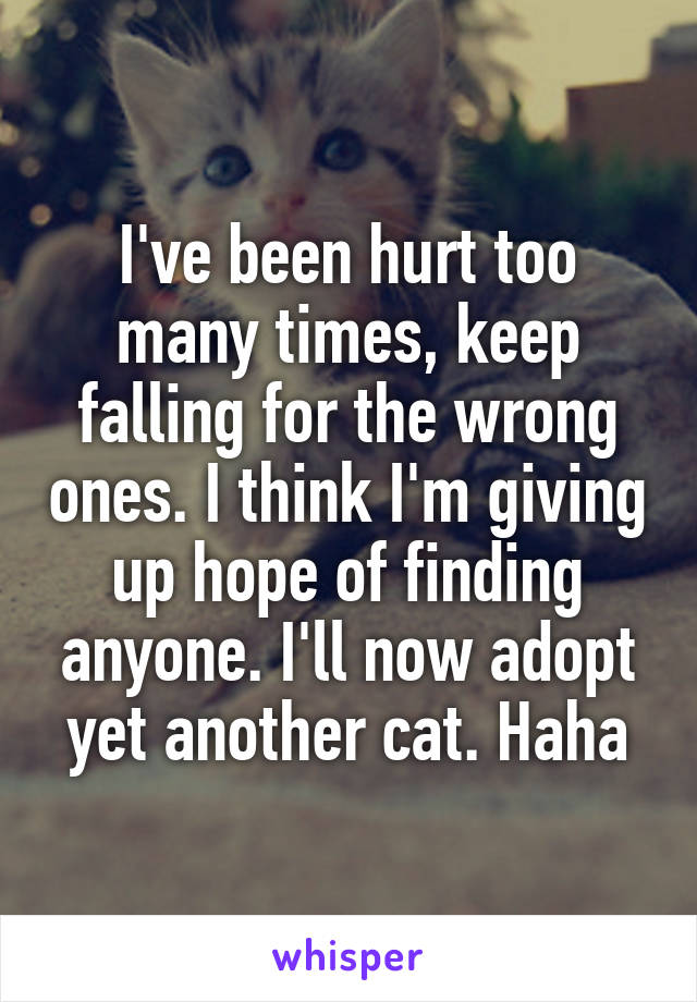 I've been hurt too many times, keep falling for the wrong ones. I think I'm giving up hope of finding anyone. I'll now adopt yet another cat. Haha