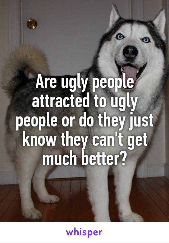 Are ugly people attracted to ugly people or do they just know they can't get much better?