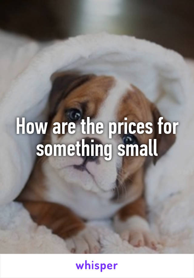 How are the prices for something small