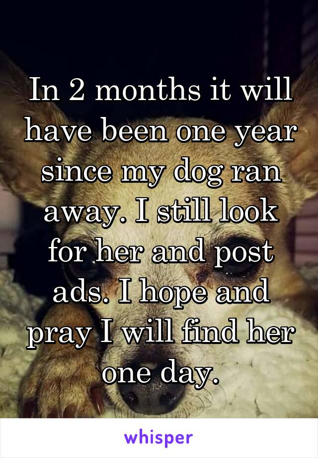 In 2 months it will have been one year since my dog ran away. I still look for her and post ads. I hope and pray I will find her one day.