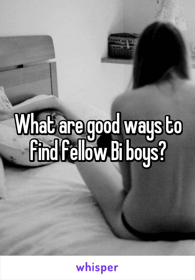 What are good ways to find fellow Bi boys?