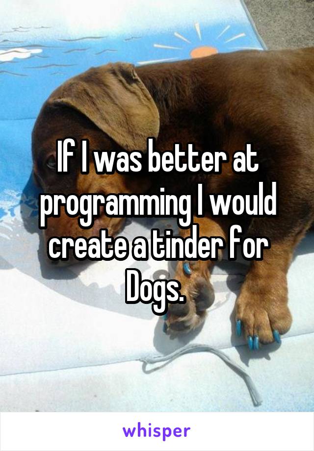 If I was better at programming I would create a tinder for Dogs. 