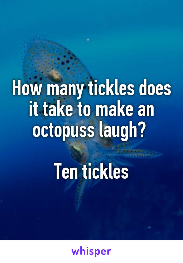 How many tickles does it take to make an octopuss laugh? 

Ten tickles