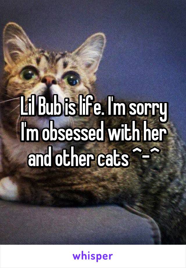 Lil Bub is life. I'm sorry I'm obsessed with her and other cats ^-^