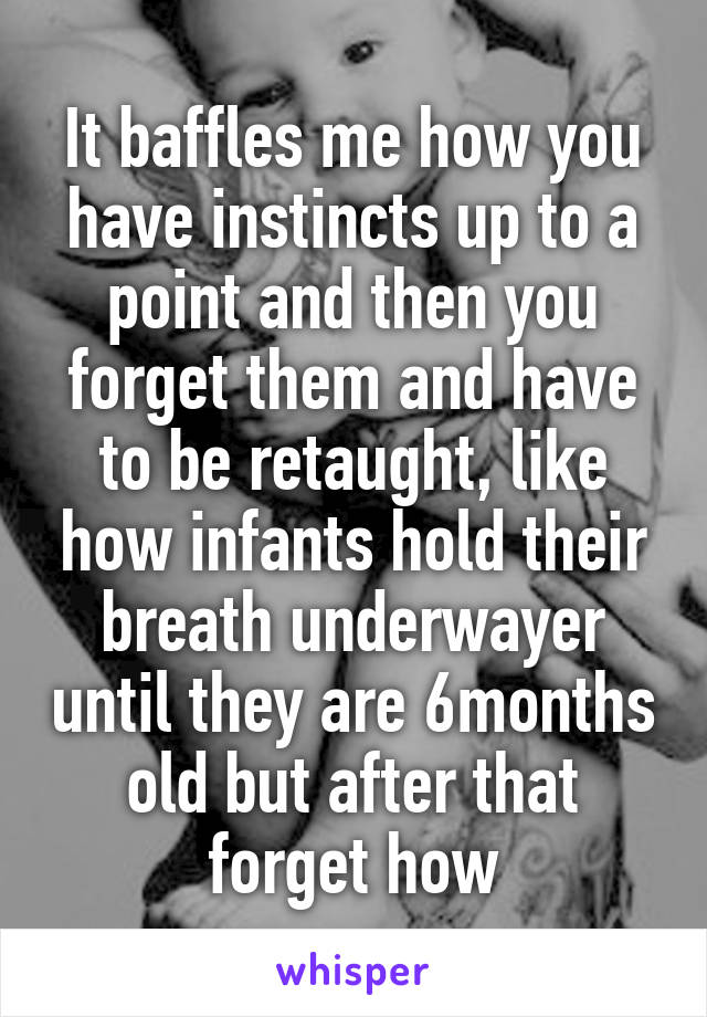 It baffles me how you have instincts up to a point and then you forget them and have to be retaught, like how infants hold their breath underwayer until they are 6months old but after that forget how