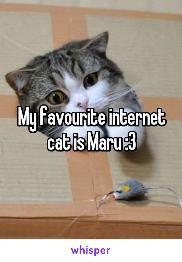 My favourite internet cat is Maru :3