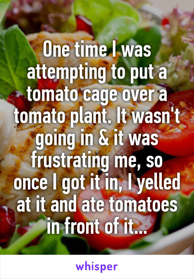 One time I was attempting to put a tomato cage over a tomato plant. It wasn't going in & it was frustrating me, so once I got it in, I yelled at it and ate tomatoes in front of it...