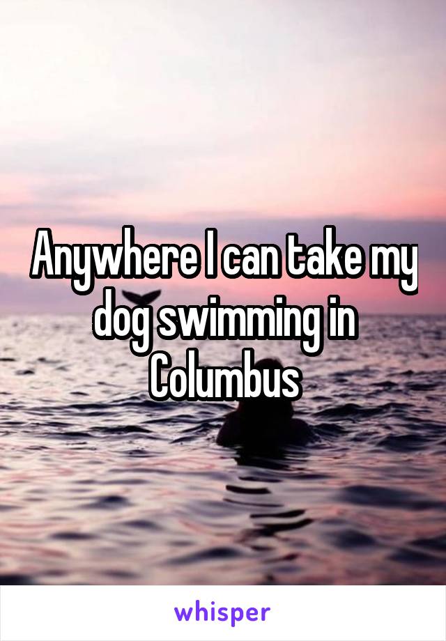 Anywhere I can take my dog swimming in Columbus