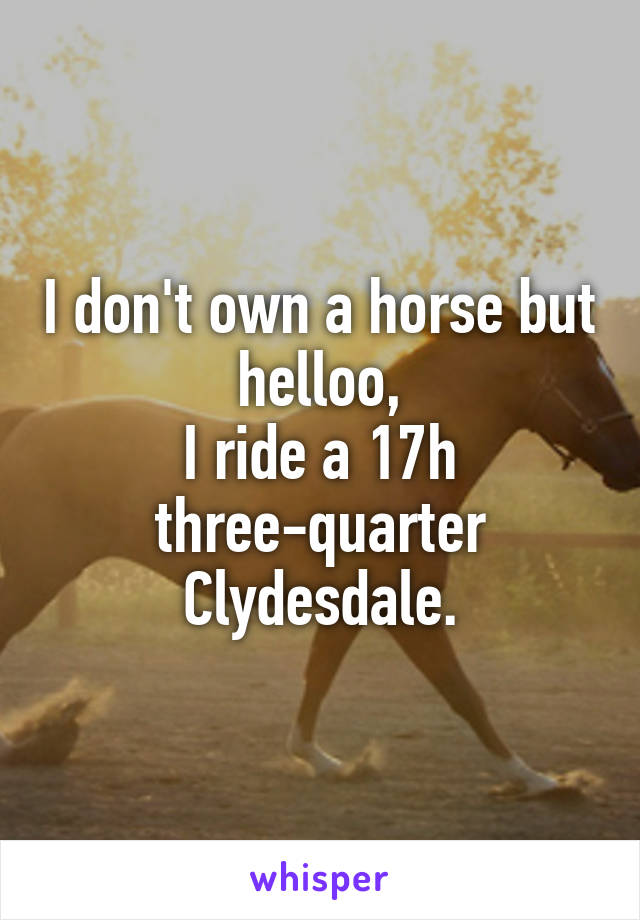 I don't own a horse but helloo,
I ride a 17h three-quarter Clydesdale.