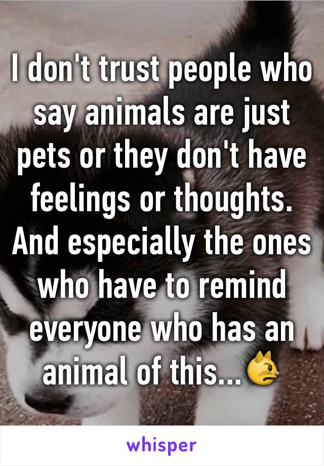 I don't trust people who say animals are just pets or they don't have feelings or thoughts. And especially the ones who have to remind everyone who has an animal of this...😾