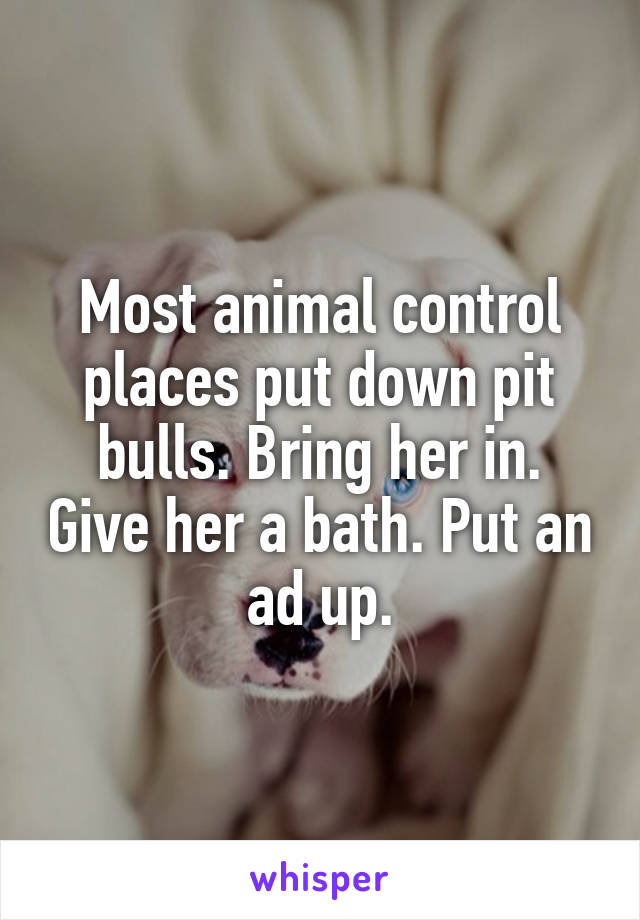 Most animal control places put down pit bulls. Bring her in. Give her a bath. Put an ad up.