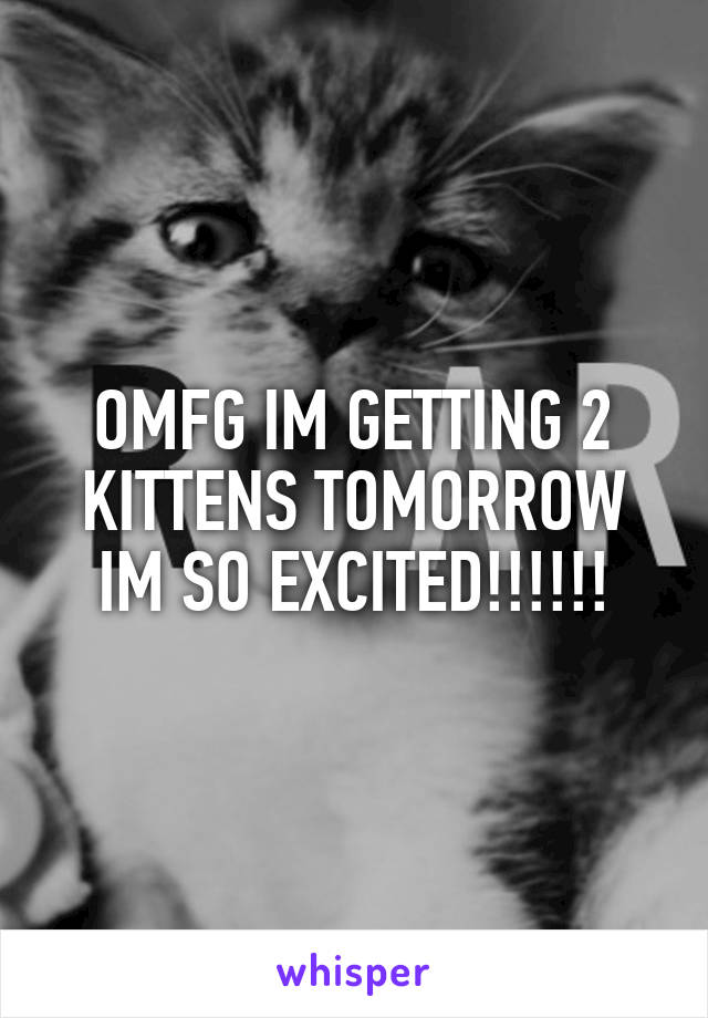 OMFG IM GETTING 2 KITTENS TOMORROW IM SO EXCITED!!!!!!