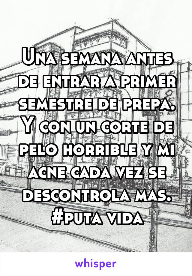 Una semana antes de entrar a primer semestre de prepa. Y con un corte de pelo horrible y mi acne cada vez se descontrola mas. #puta vida