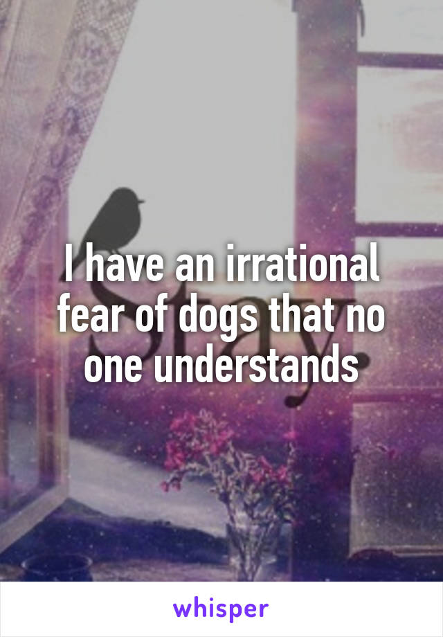 I have an irrational fear of dogs that no one understands