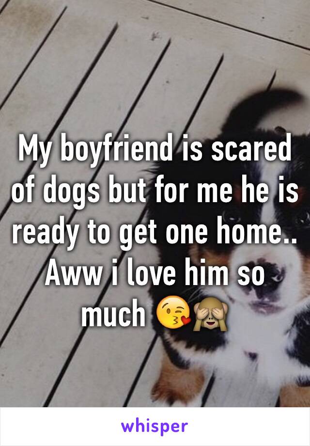 My boyfriend is scared of dogs but for me he is ready to get one home.. Aww i love him so much 😘🙈
