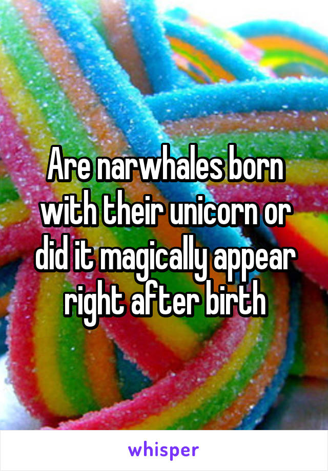 Are narwhales born with their unicorn or did it magically appear right after birth